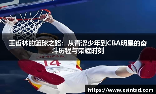 王哲林的篮球之路：从青涩少年到CBA明星的奋斗历程与荣耀时刻
